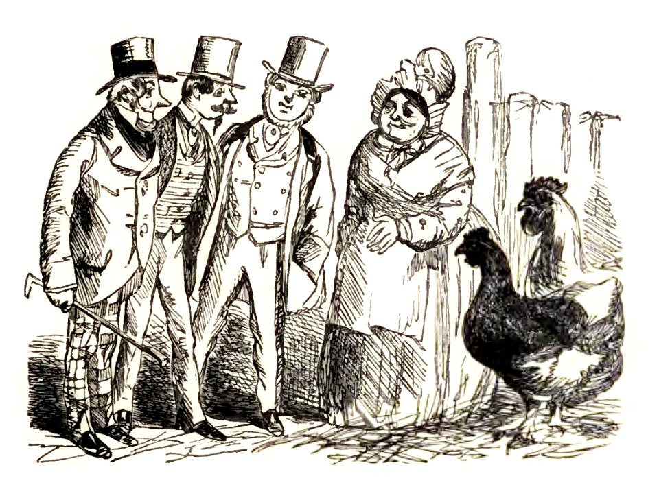 Mother Goose 172