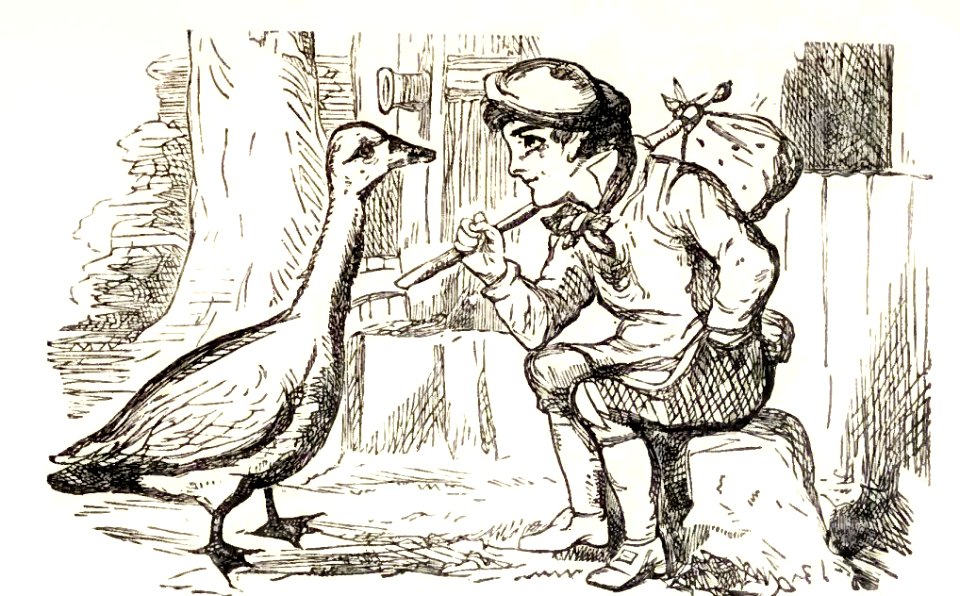 Mother Goose 149