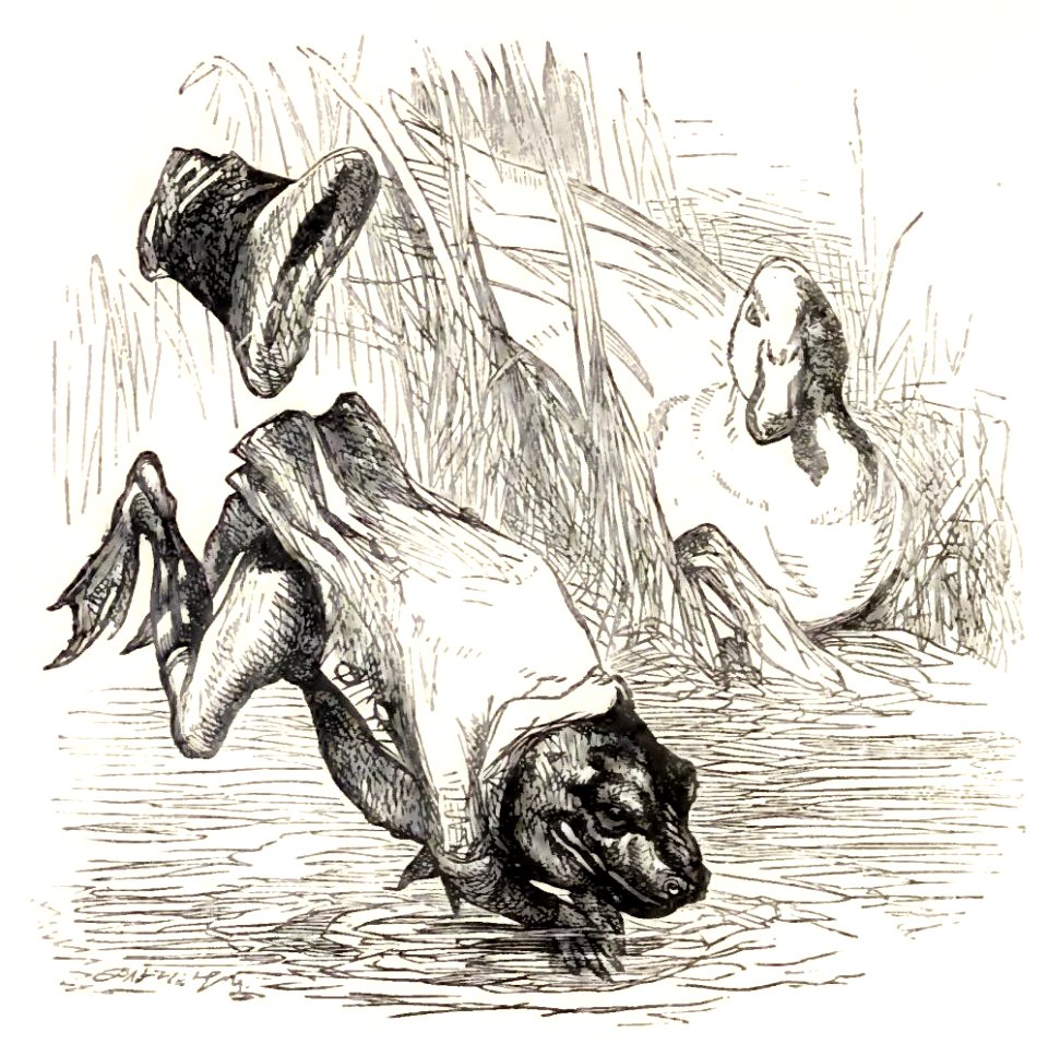 Mother Goose 108