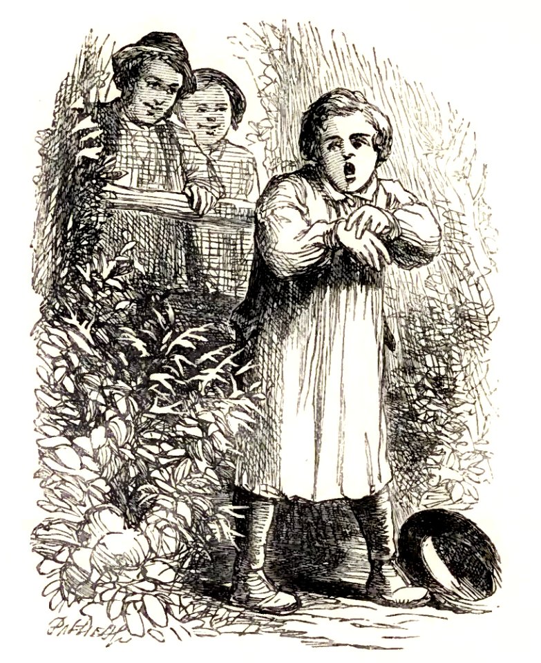 Mother Goose 100