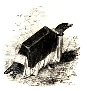 Mother Goose 091