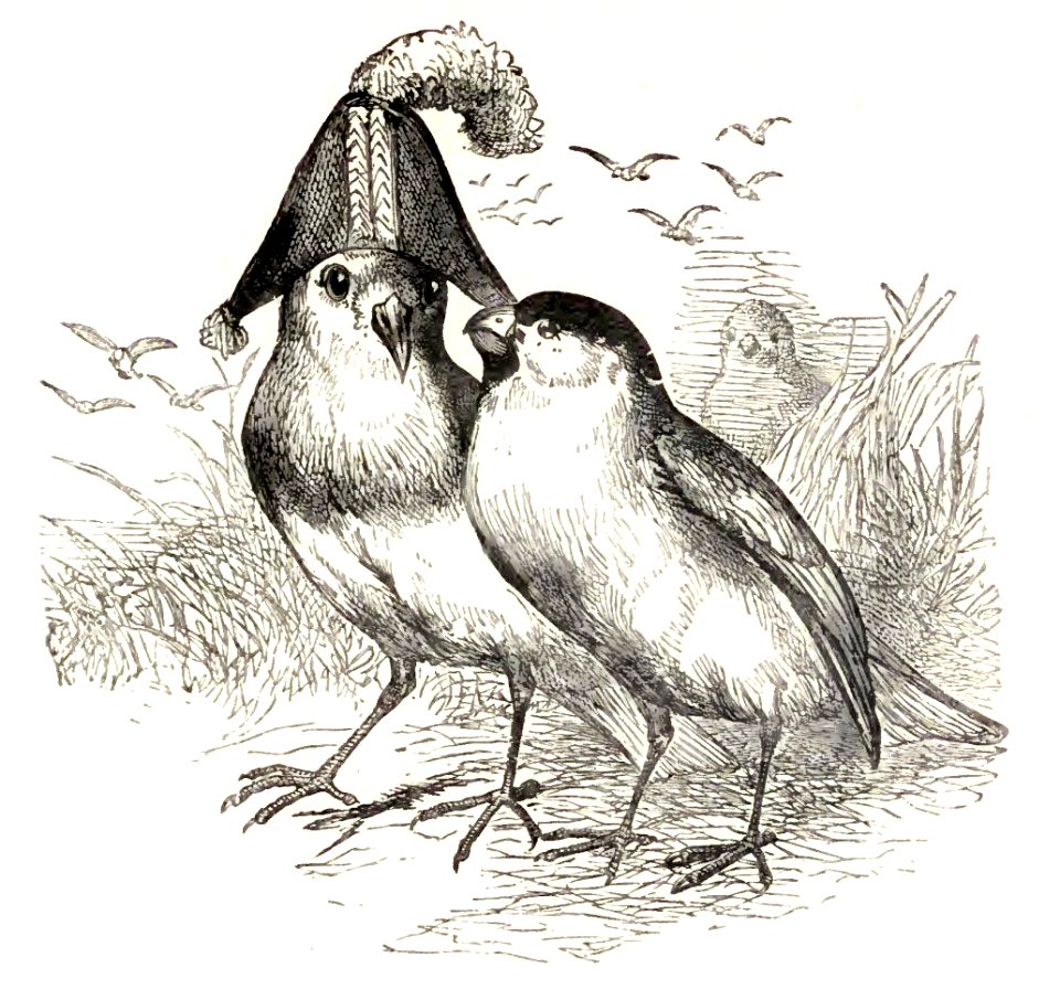 Mother Goose 079