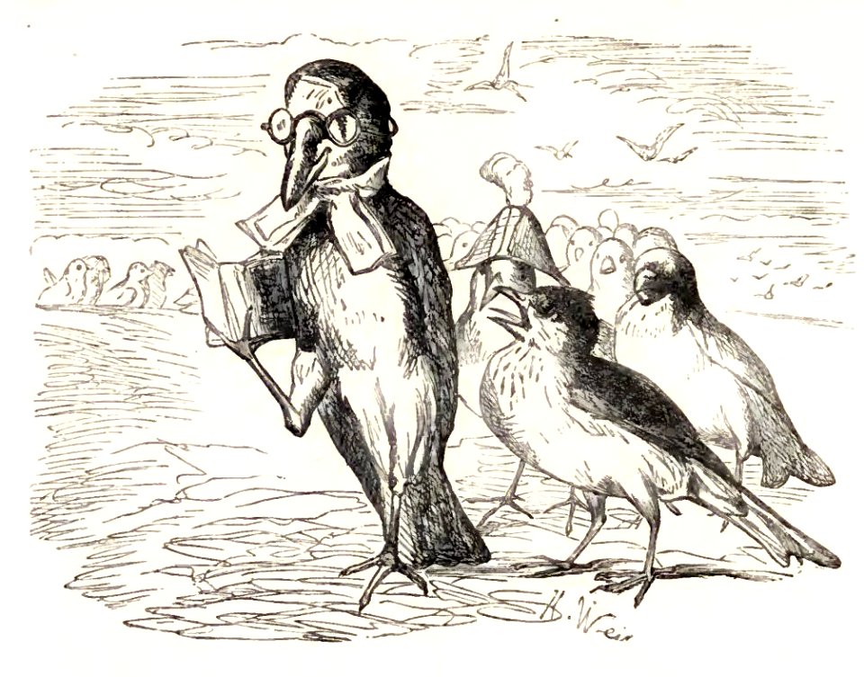 Mother Goose 077