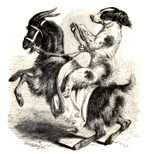 Mother Goose 064