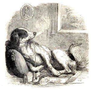 Mother Goose 058