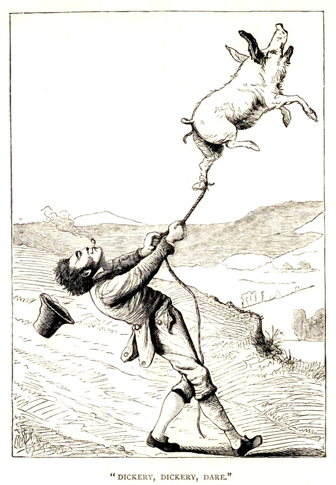 Mother Goose 048