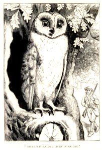 Mother Goose 040