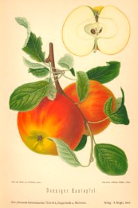 015