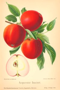 018