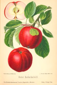 013