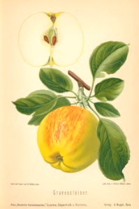 011