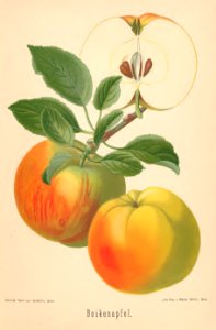 006