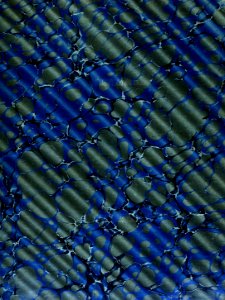 endpapers 17