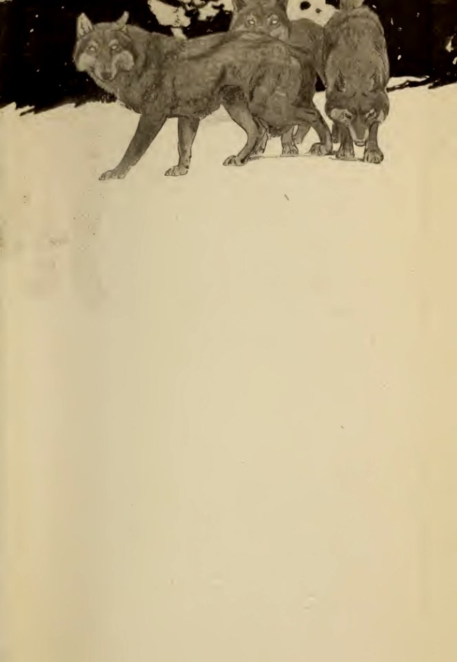 endpapers 14
