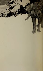 endpapers 13