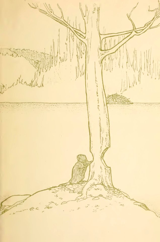 endpapers 12