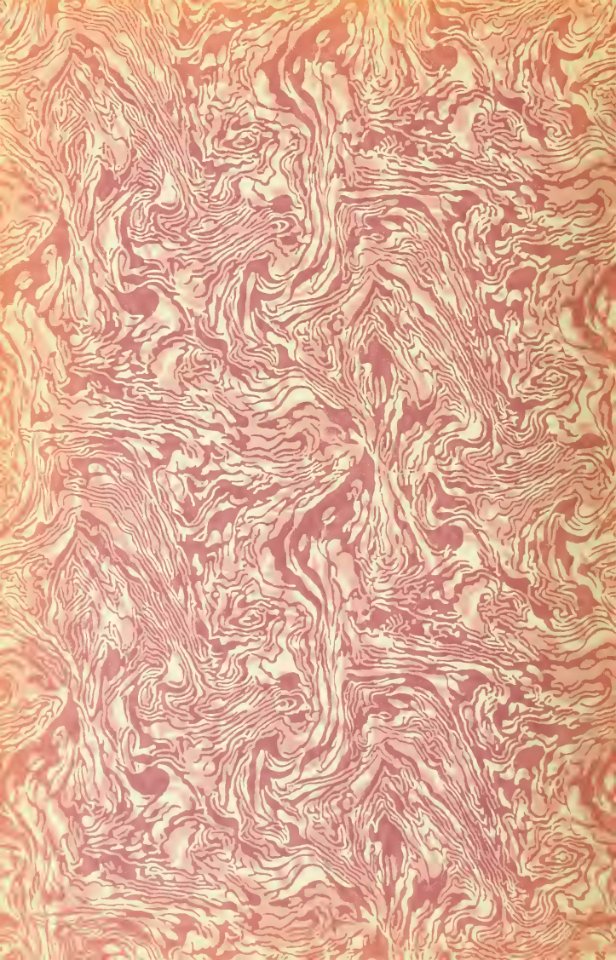 endpapers 04