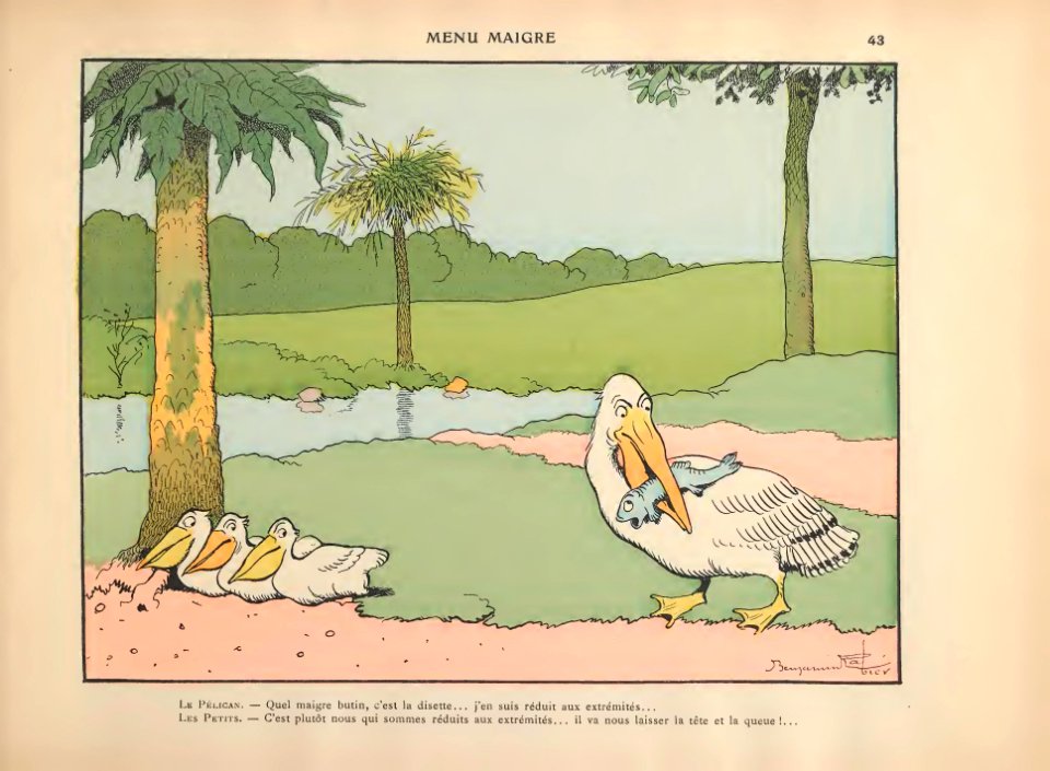 44