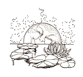207