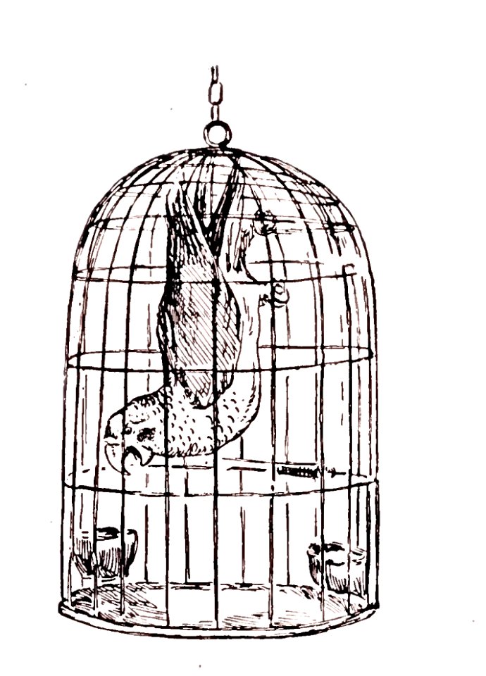 281