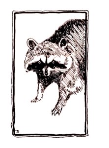 268