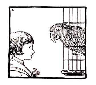 262