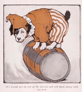 BlackEyed Puppy 11