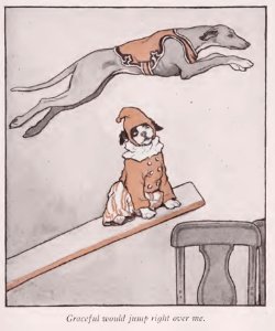 BlackEyed Puppy 10