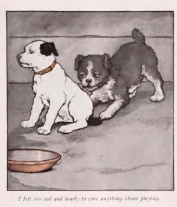 BlackEyed Puppy 07