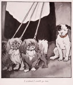 BlackEyed Puppy 04