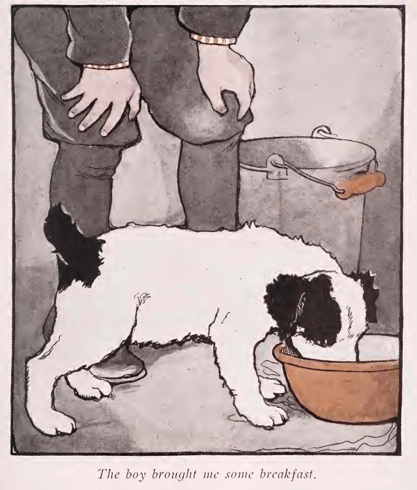 BlackEyed Puppy 03