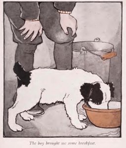 BlackEyed Puppy 03
