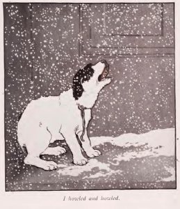 BlackEyed Puppy 02