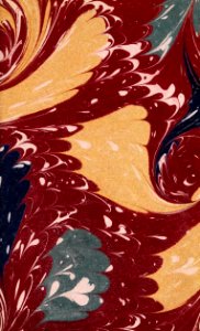 Whole Art 30
