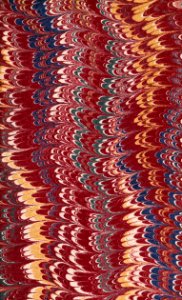 Whole Art 29