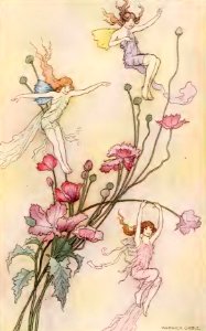 Fairy Poetry 06