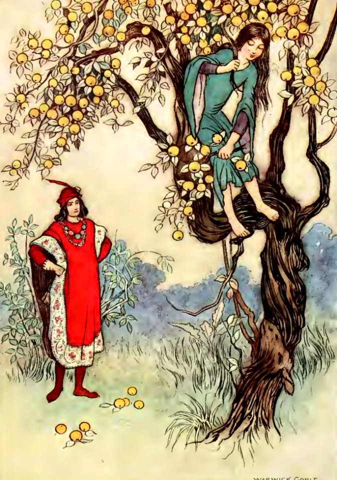 The Fairy Book 07