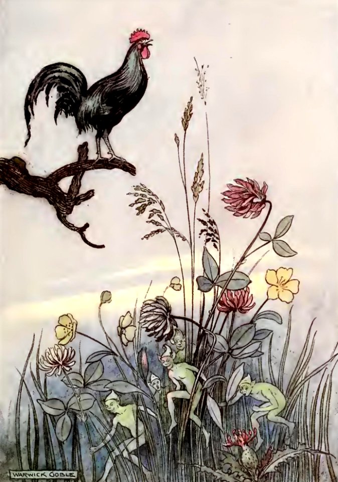 The Fairy Book 05