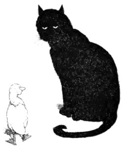 146