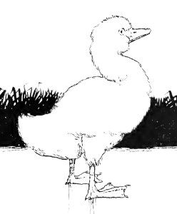 145