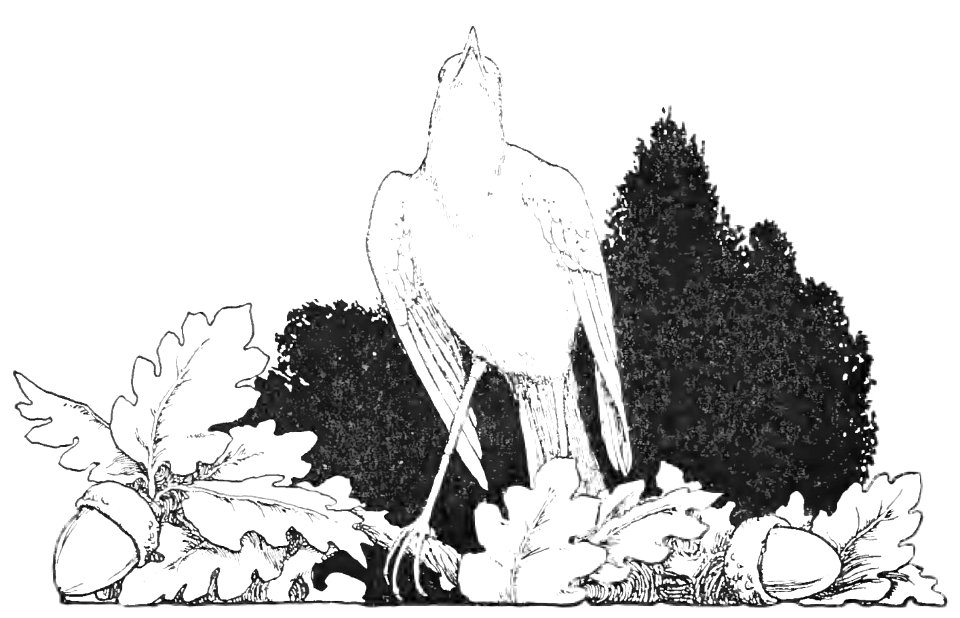 114