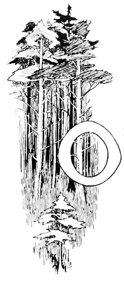 O