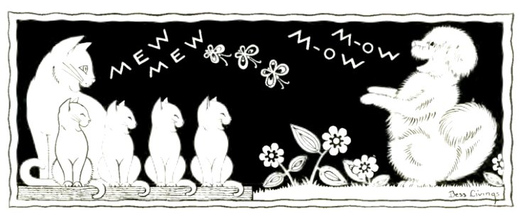 Dog and Cats