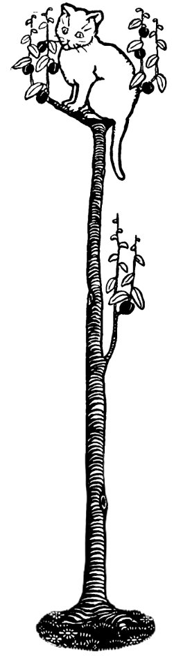 cat in tree