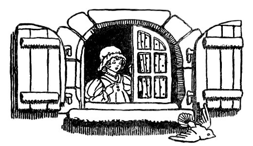 boy and bird and window