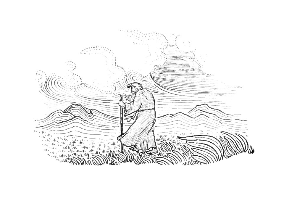 in the field