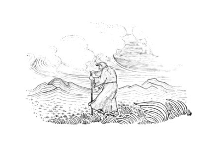 in the field