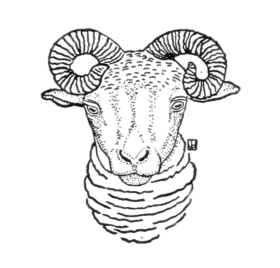 ram's head