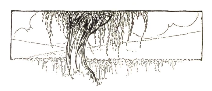 weeping willow. Free illustration for personal and commercial use.