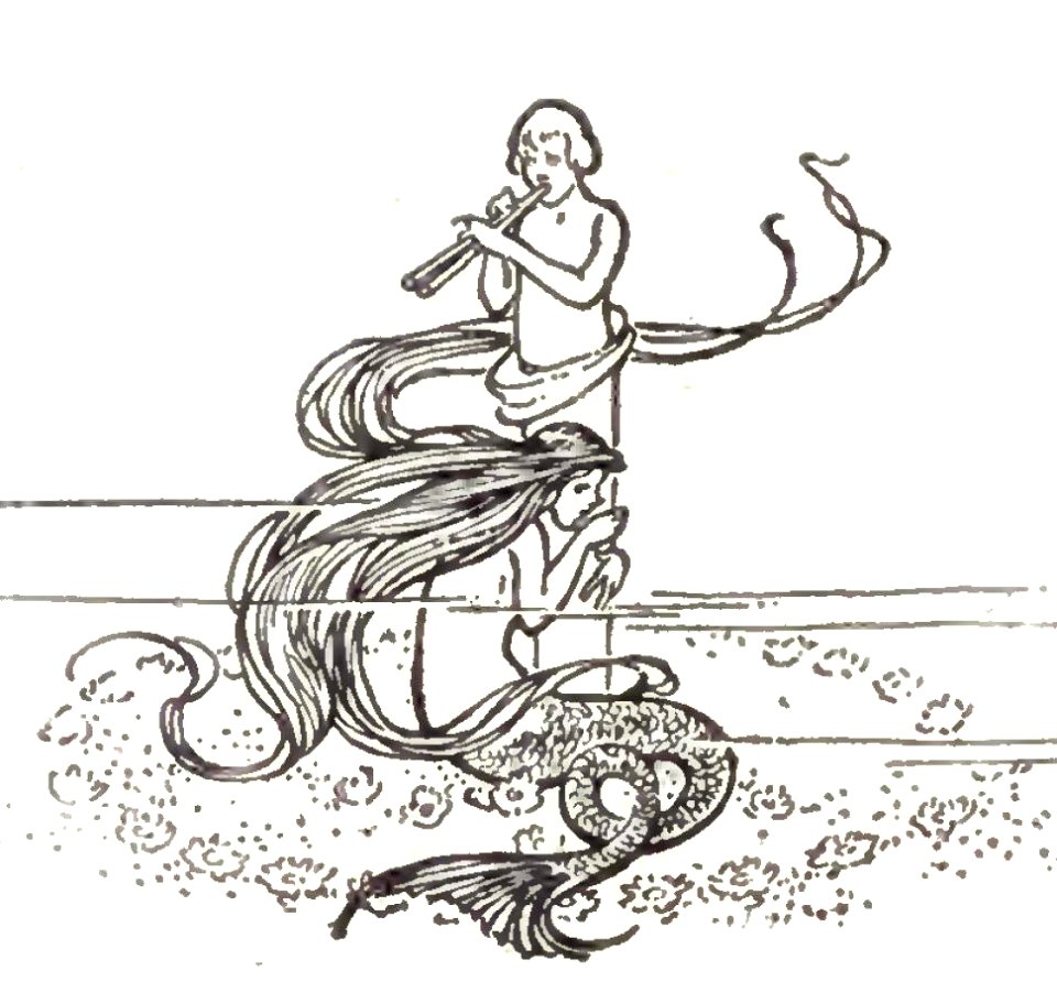 mermaid